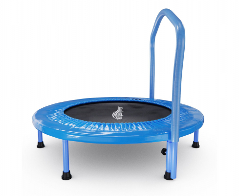 Батут с поручнем DFC Gardenature 36'' синий