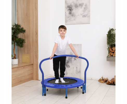Батут с поручнем DFC Gardenature 36'' синий