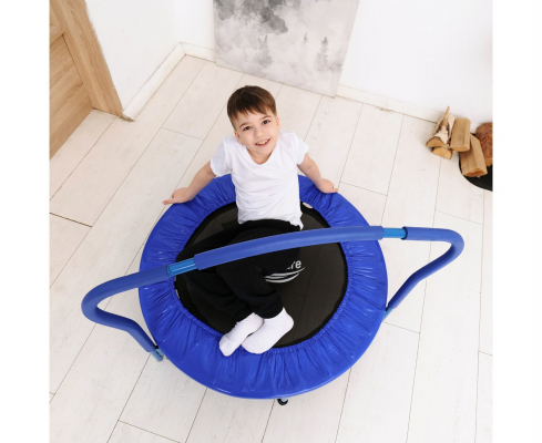 Батут с поручнем DFC Gardenature 36'' синий