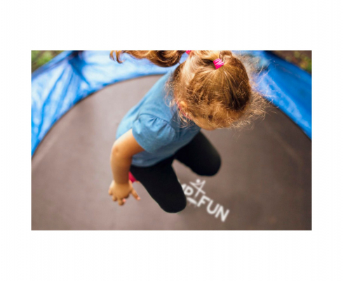 Батут с защитной сеткой DFC JUMP4FUN 6 ft синий с лестницей