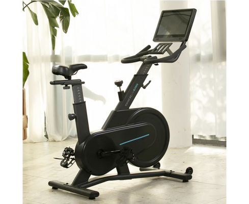 Спин-байк DFC OVICX B-Q200X