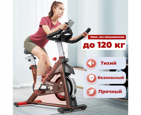 Спин-байк DFC Pooboo