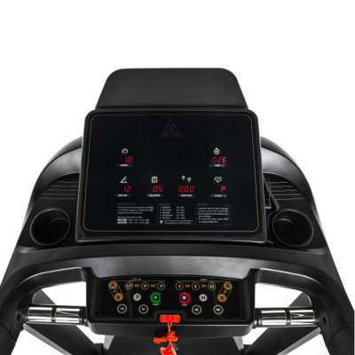 Беговая дорожка DFC SANTANA Pro T757