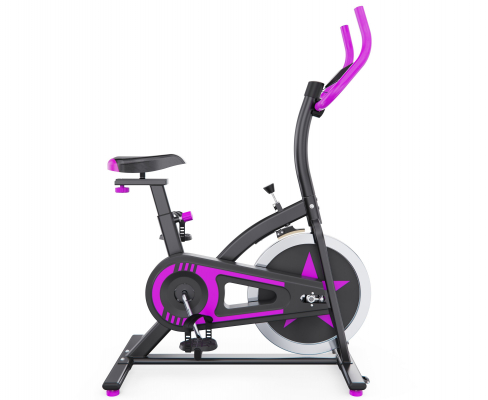 Спин-байк DFC WeR Sports PSP-BIK-108 чёрно-розовый