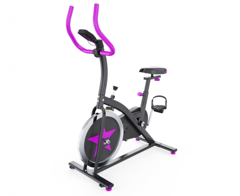 Спин-байк DFC WeR Sports PSP-BIK-108 чёрно-розовый