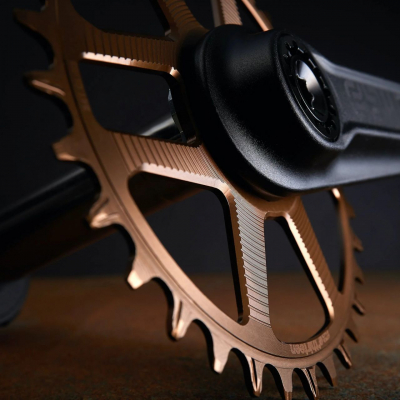 Звезда E THIRTEEN Helix R Guidering Direct Mount 30T Flip Flop 11/12s Bronze