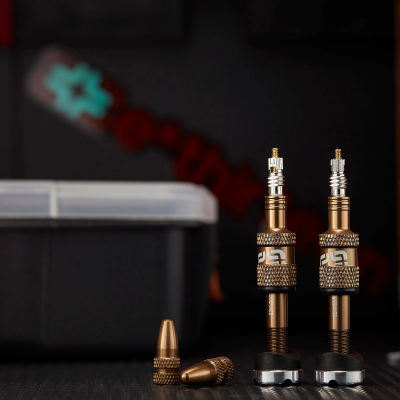 Ниппель бескамерный E THIRTEEN Quickfill Gen2 16-24mm 2 шт. Bronze
