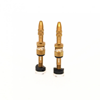 Ниппель бескамерный E THIRTEEN Quickfill Gen2 16-24mm 2 шт. Bronze