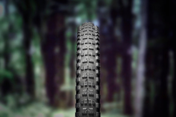 Покрышка E THIRTEEN Zeppelin 27.5x2.7 Enduro Endurance E*spec Ready