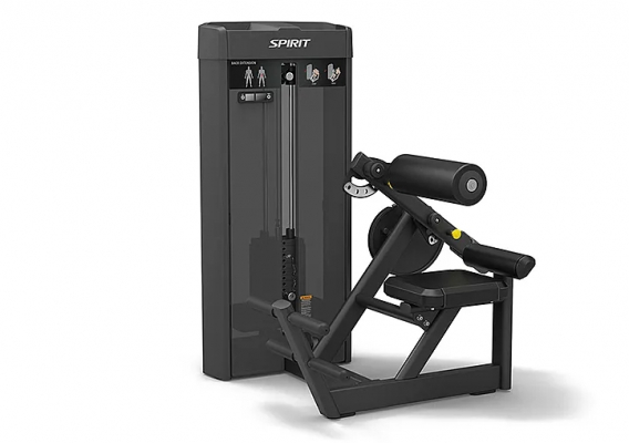 Разгибание спины Spirit Fitness SP-4310