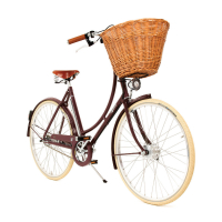 Велосипед Pashley Britannia 5