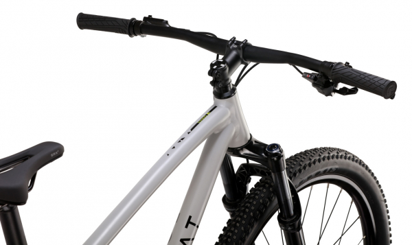 Велосипед Format 1212 29 (2026)