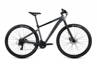 Велосипед Format 1432 29 (2023)