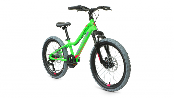 Велосипед Forward TWISTER 20 2.0 D (2022)