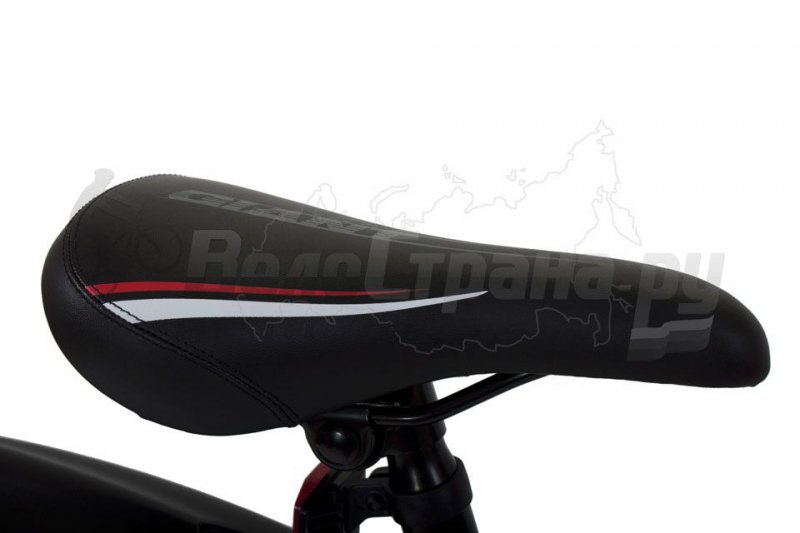 Giant revel jr 24 discount