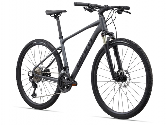 Велосипед Giant Roam 0 Disc (2022)