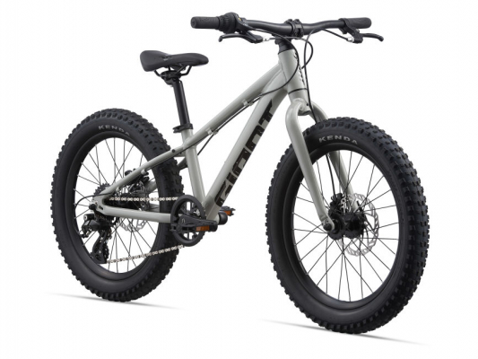 Велосипед Giant STP 20 (2022)