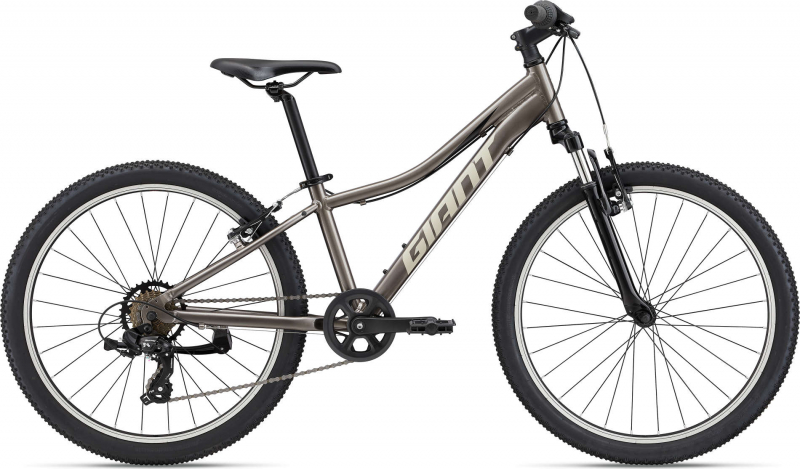 Giant XtC Jr 24 (2022 