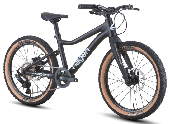 Велосипед Hagen Teen Pro 20 Carbon (2025)