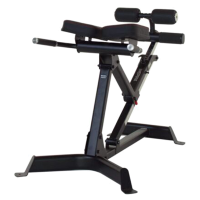 Гиперэкстензия Inspire 45/90 Hype Bench