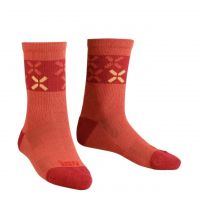 Носки IXS 2.0