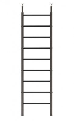Профессиональная шведская стенка Kampfer KSW professional ceiling long
