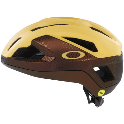 Шлем Oakley ARO3 Endurance EU