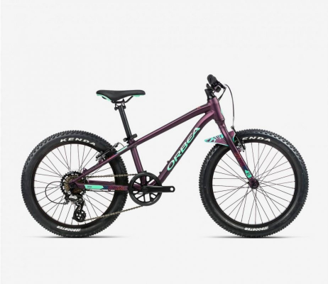 Велосипед Orbea MX 20 DIRT (2023)