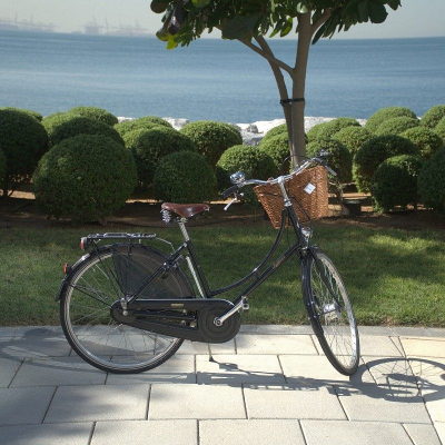 Велосипед Pashley Princess Sovereign 5