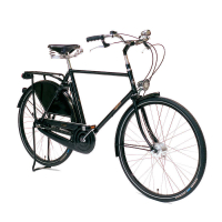 Велосипед Pashley Roadster Sovereign 8