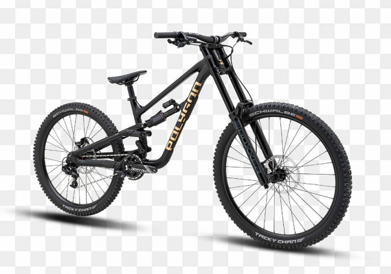 Велосипед Polygon COLLOSUS DH-M 29" (2025)
