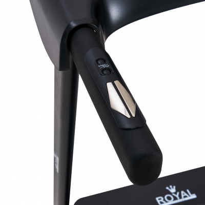 Беговая дорожка электрическая Royal Fitness RF-6