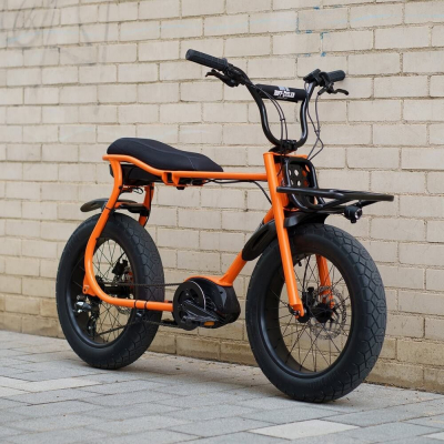 Электровелосипед Ruff Cycles Lil Buddy Special Edition Bosch Active Line 300Wh (2024)