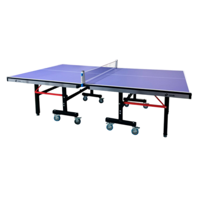 Профессиональный Теннисный стол Scholle T850