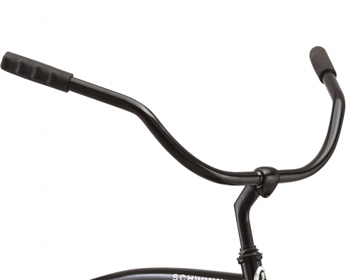 Велосипед Schwinn S1 (2021)