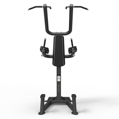 Подтягивания/брусья/поднятие ног Spirit Fitness SP-4219