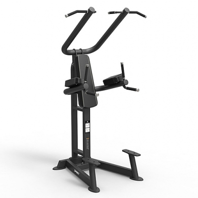 Подтягивания/брусья/поднятие ног Spirit Fitness SP-4219