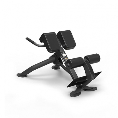 Гиперэкстензия под углом 45 градусов Spirit Fitness SP-4220