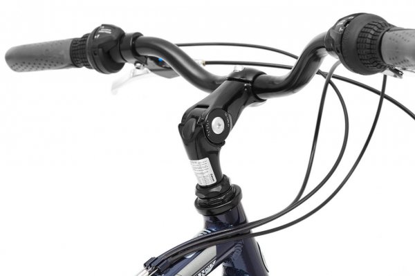 Велосипед Schwinn Suburban DLX (2020)
