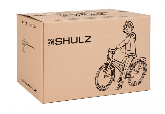 Велосипед SHULZ Bubble 20 Race