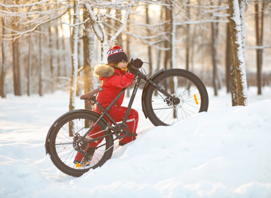Велосипед SHULZ Bubble 24 Race Plus