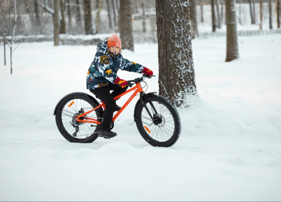 Велосипед SHULZ Bubble 24 Race Plus