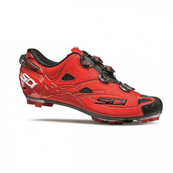 Sidi tiger new arrivals
