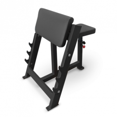 Скамья Скотта Bronze Gym AL-303