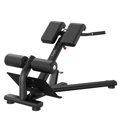 Гиперэкстензия (разгибание спины) Smith Fitness RE6010