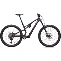 Велосипед Specialized Stumpjumper 15 Evo Expert 29" (2026)