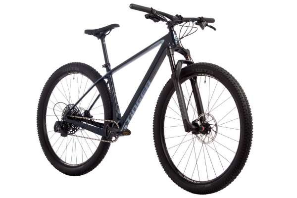 Велосипед Stinger Genesis Evo 29" (2024)