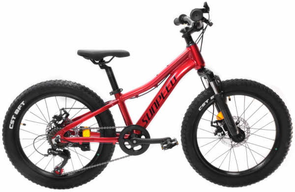 Велосипед Sunpeed YOUTH 20"