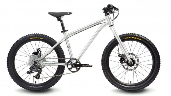 Велосипед Early Rider Trail 20" Brushed Al (2019)