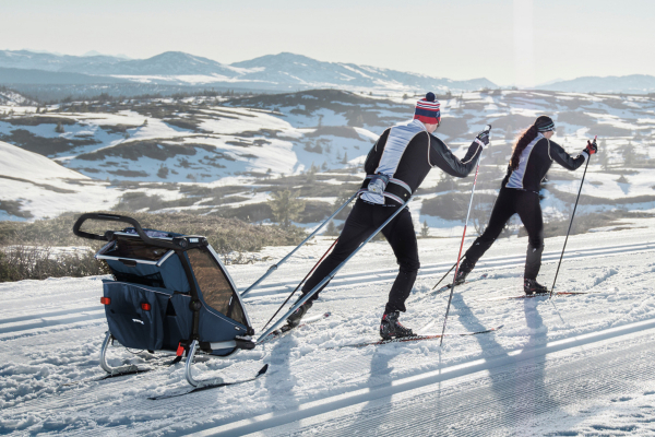 Велосипедный прицеп Thule Chariot Cross 1